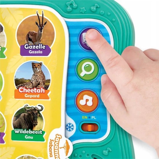 abawka edukacyjna do nauki słówek – zwierzęta po polsku i angielsku