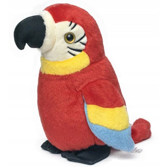 Papuga Ara powtarzająca słowa i poruszająca skrzydłami